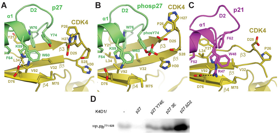 Fig. 4: