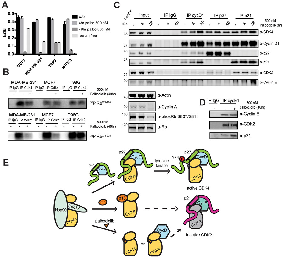 Fig. 8: