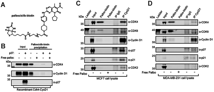 Fig. 7: