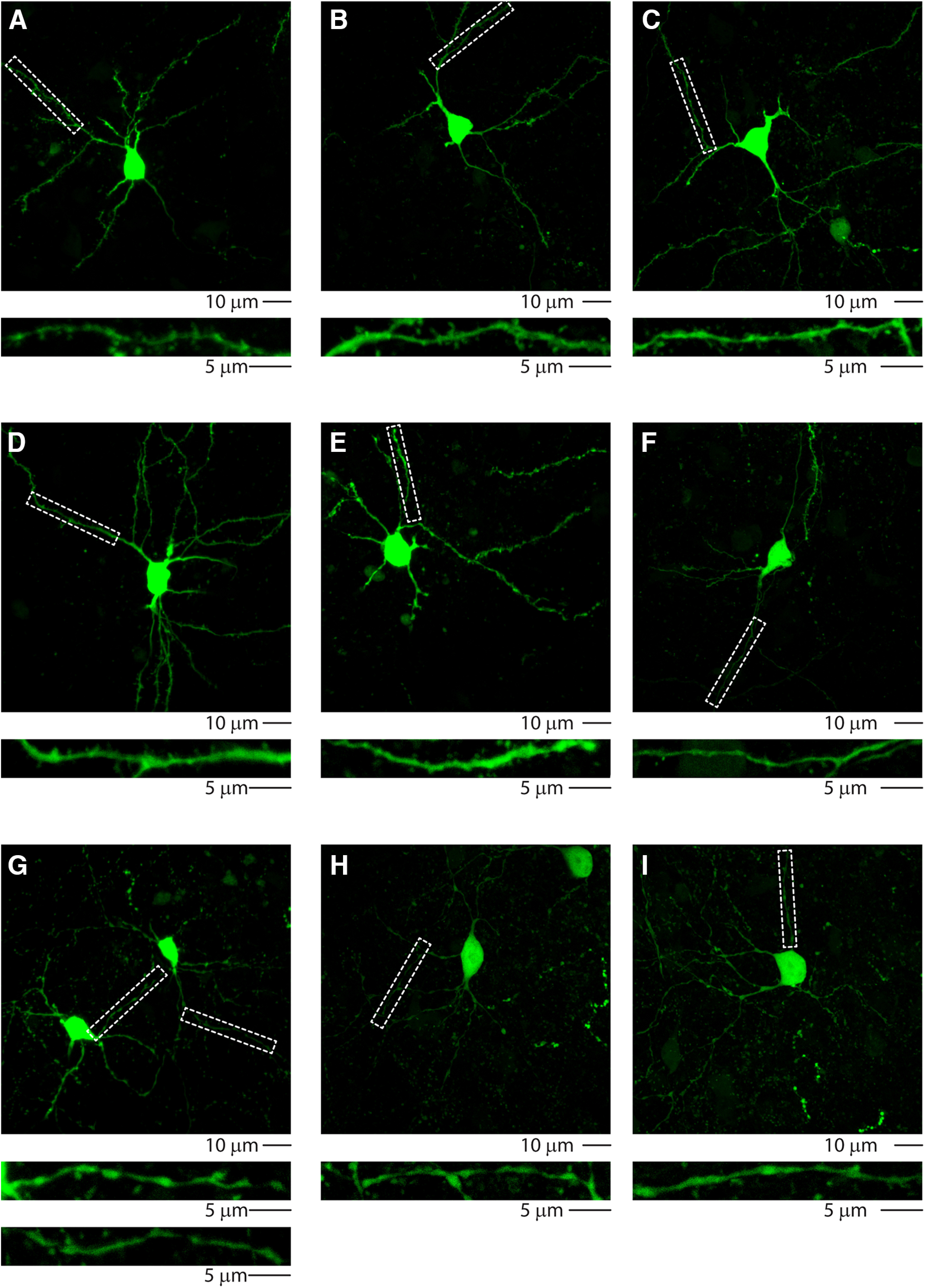 Figure 14.