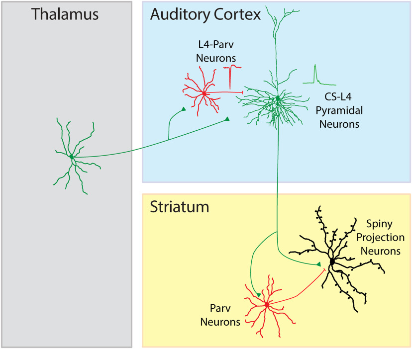 Figure 15.