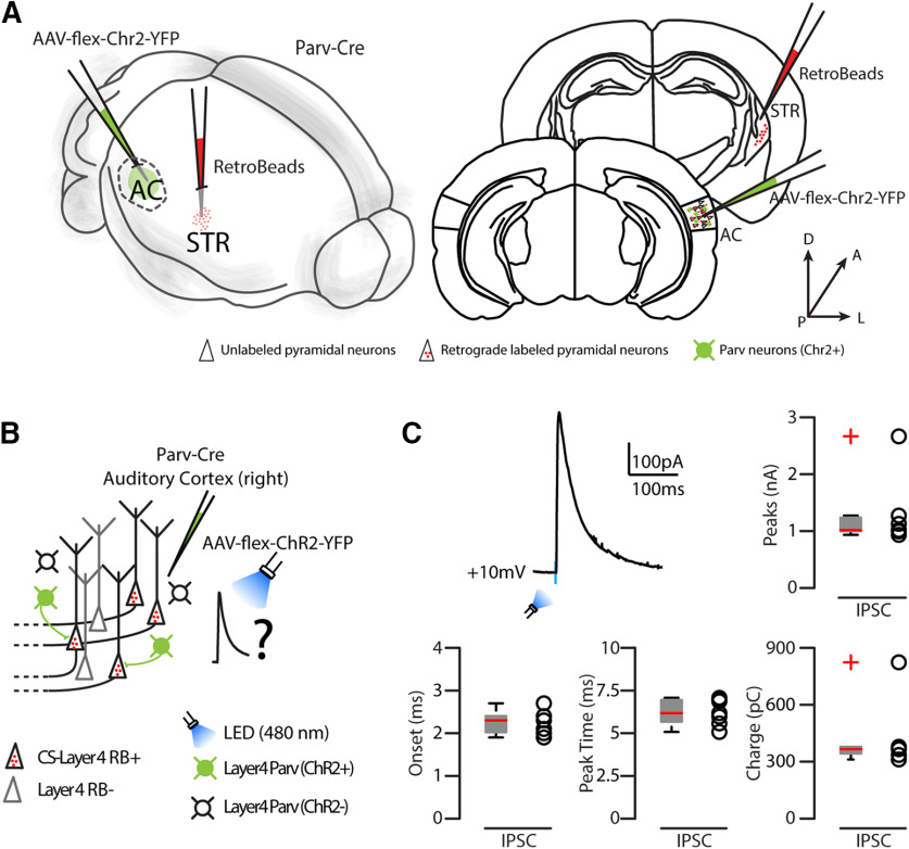 Figure 10.