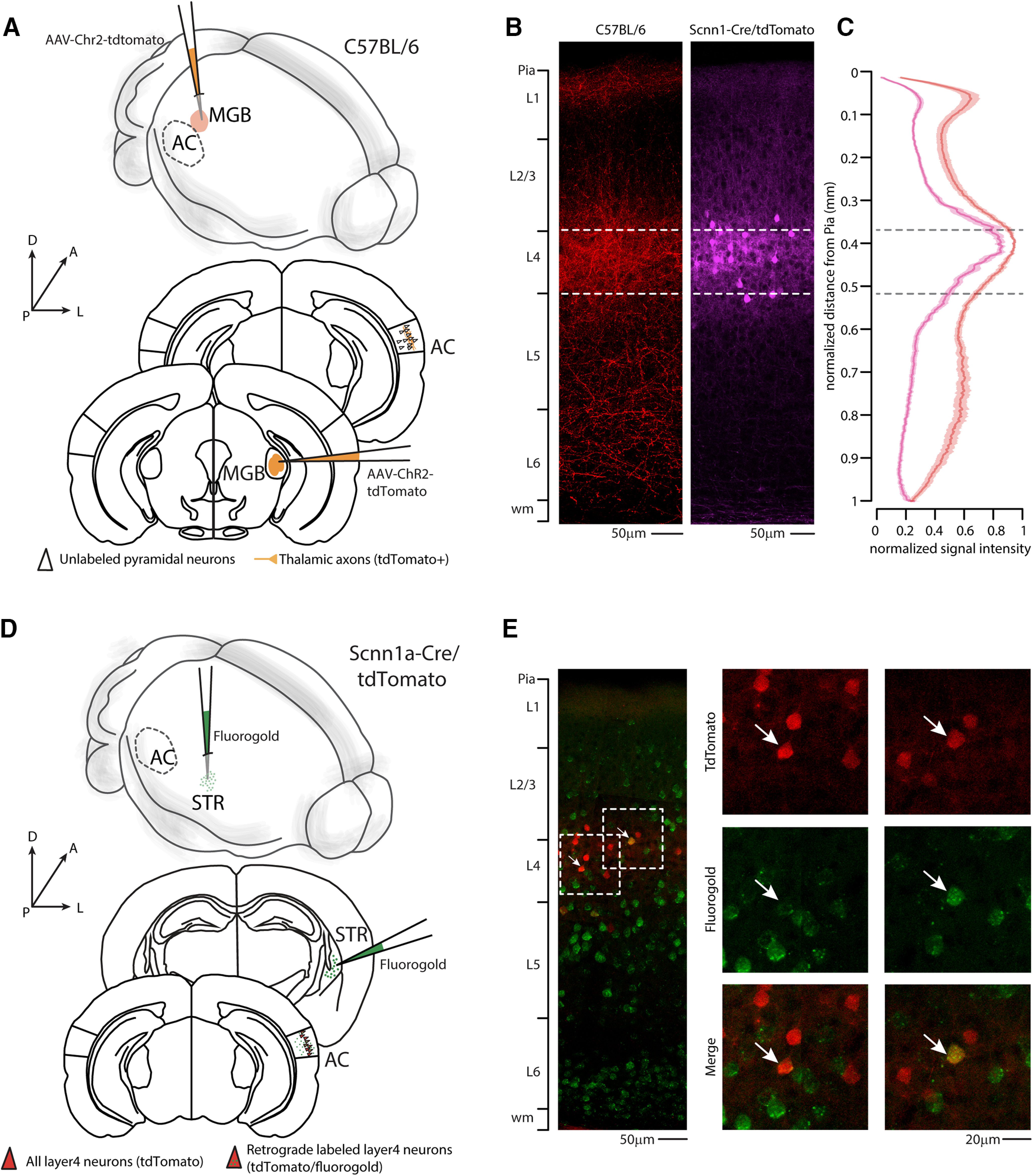 Figure 4.