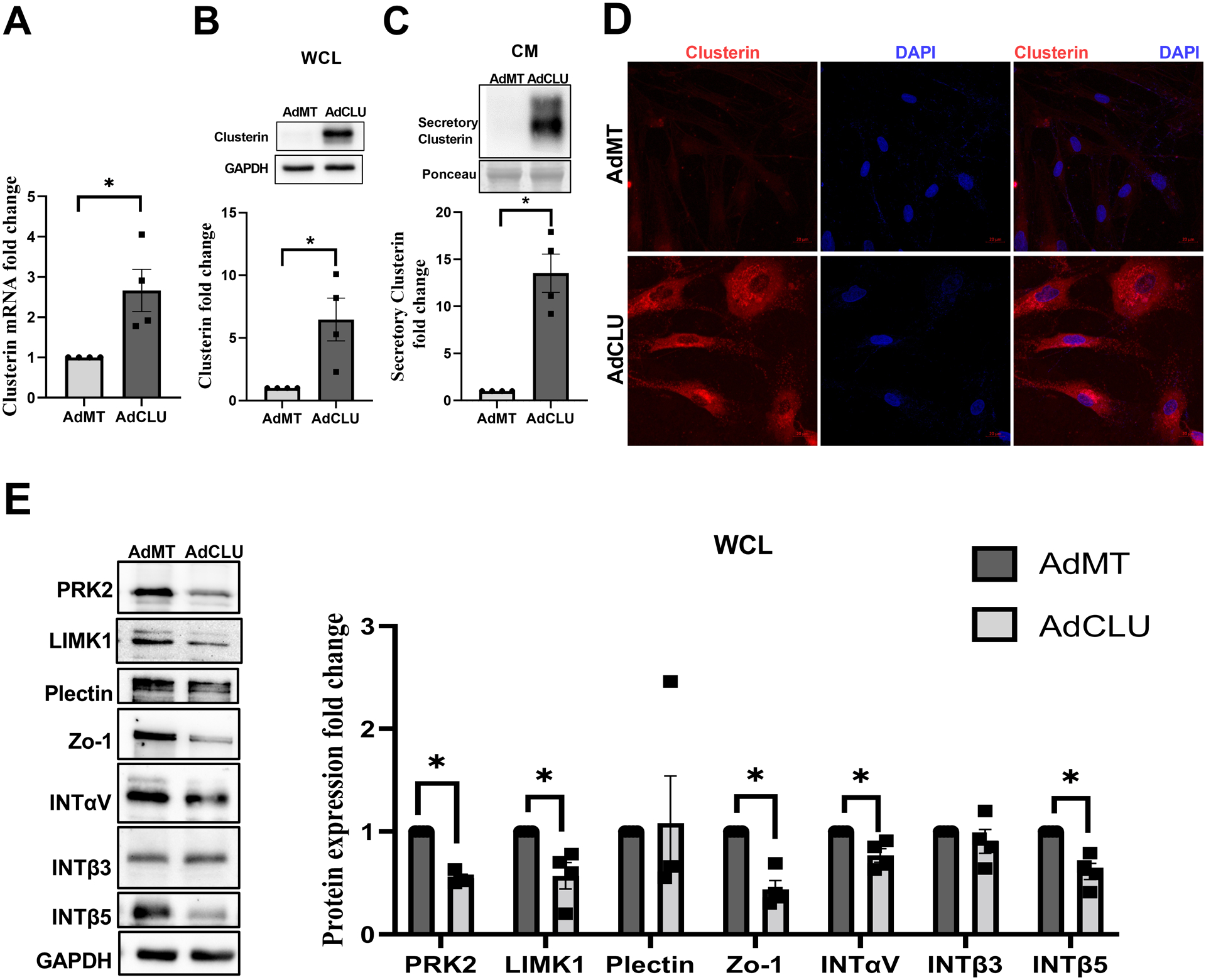 Figure 4: