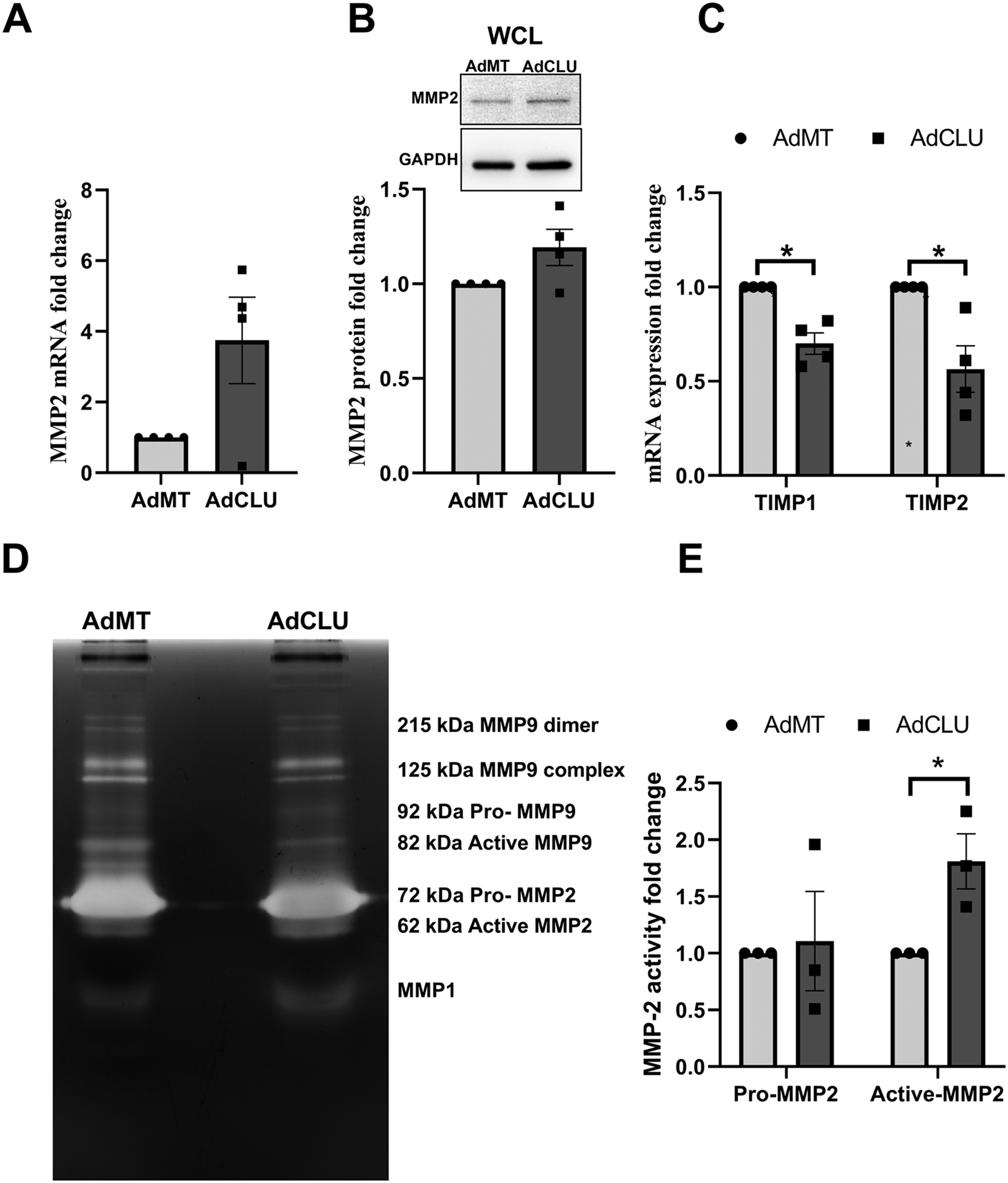 Figure 6: