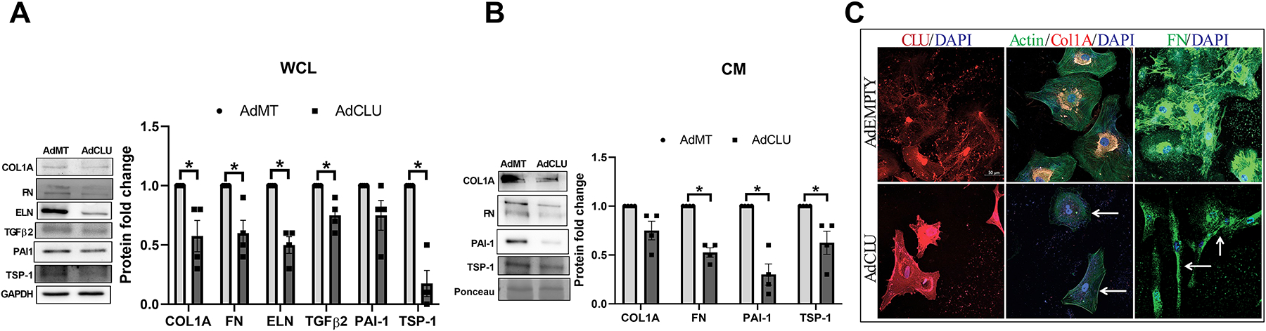 Figure 5: