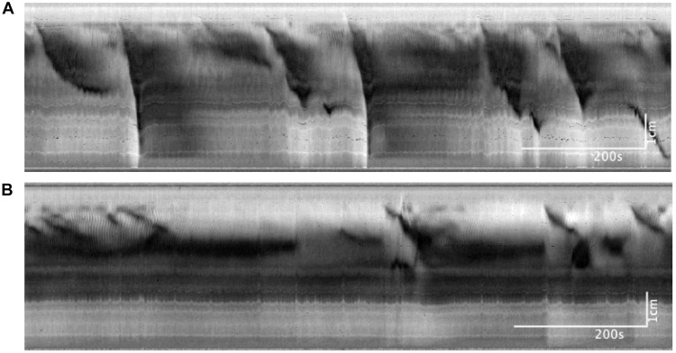 FIGURE 7