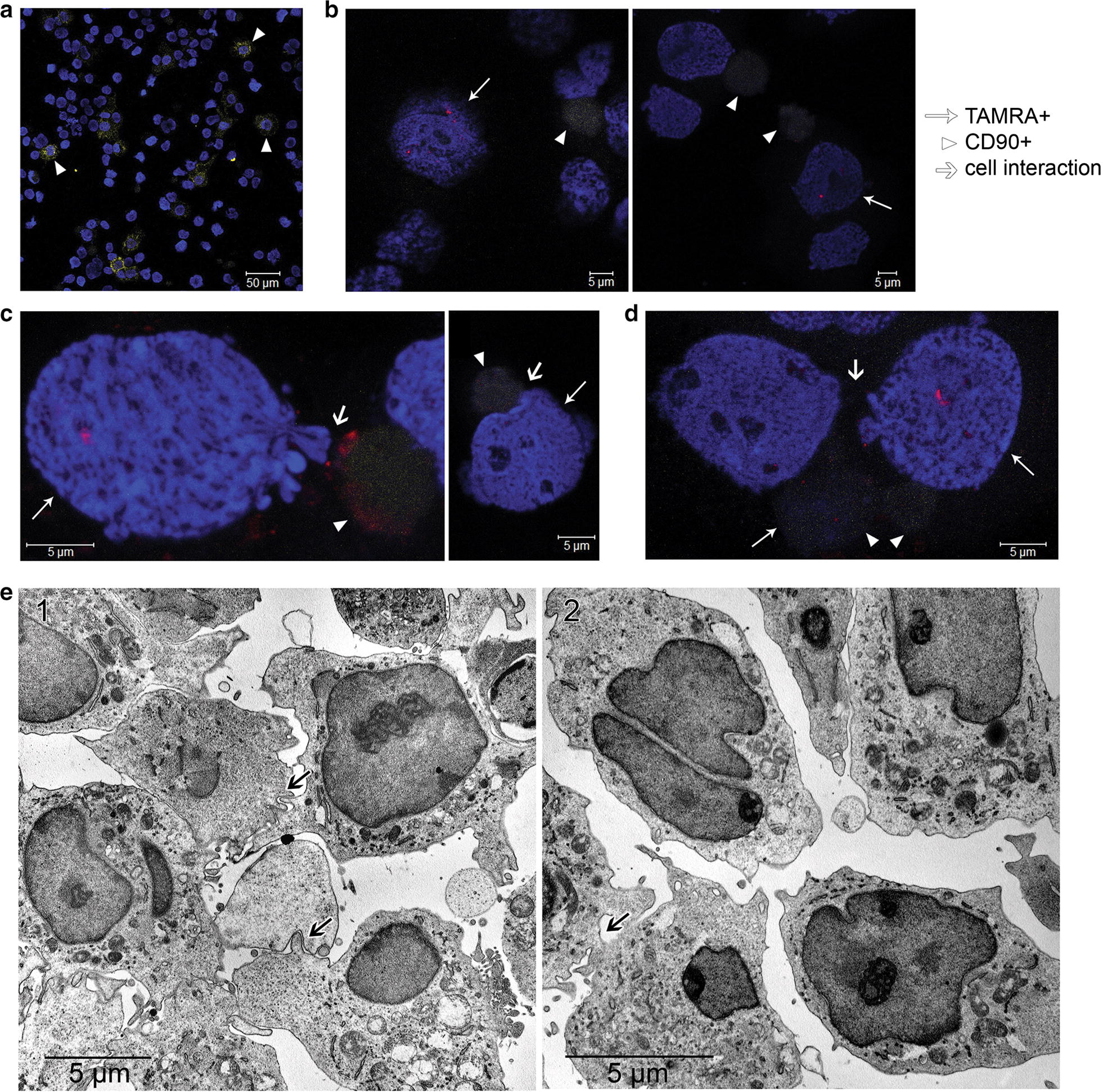 Fig. 7