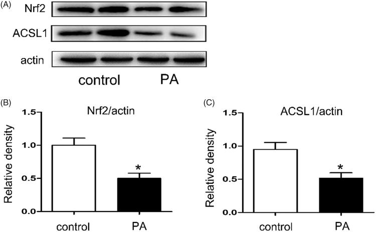 Figure 6.