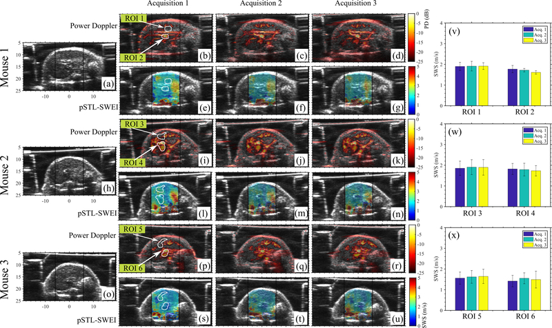 Fig. 6: