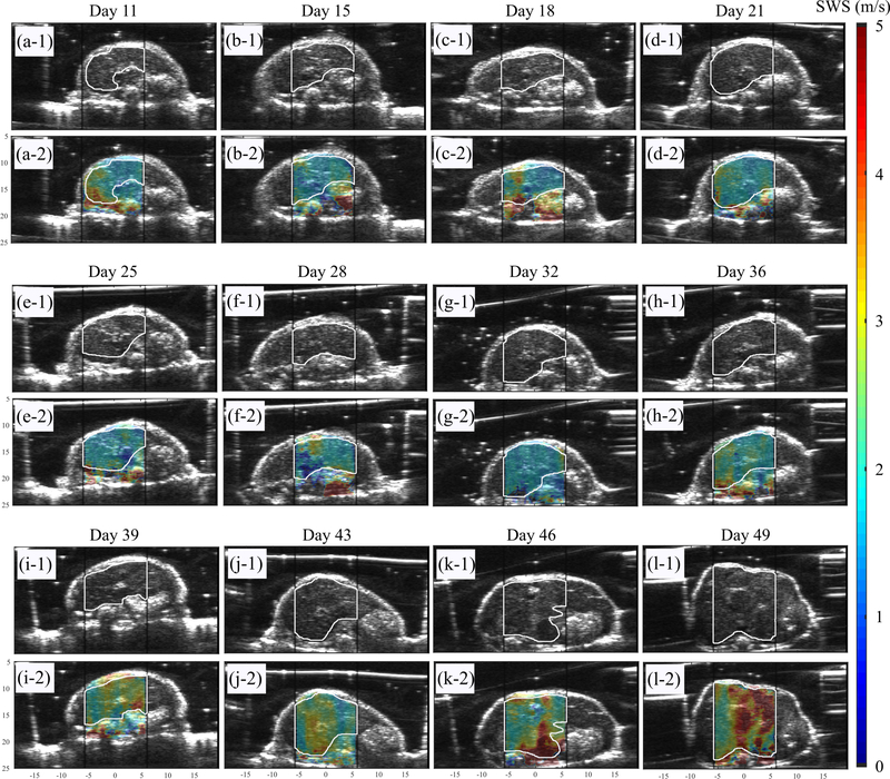 Fig. 7: