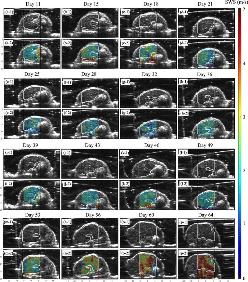 Fig. 8: