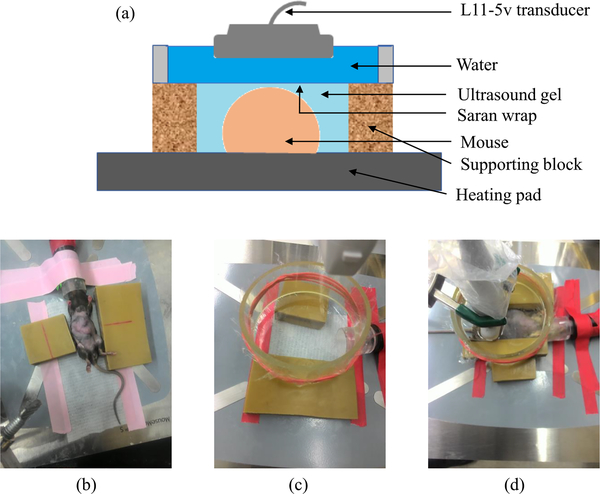 Fig. 2: