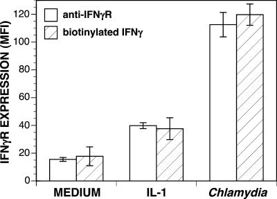 FIG. 5.