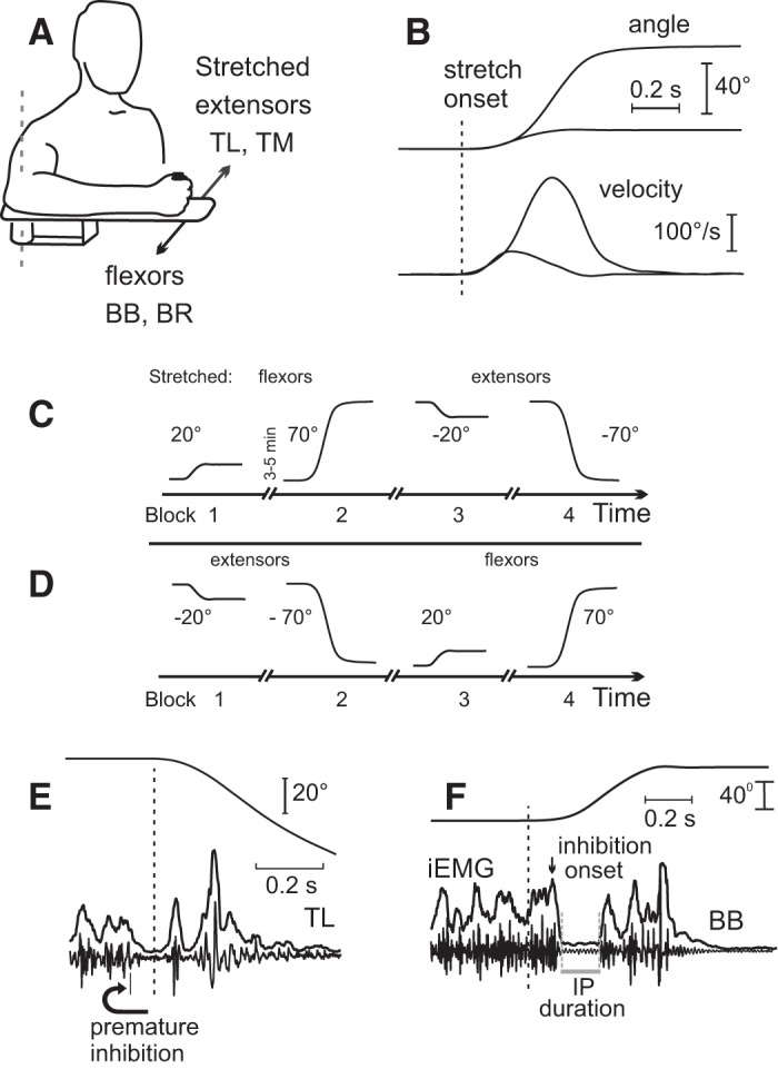 Fig. 1.