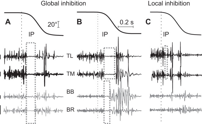 Fig. 4.