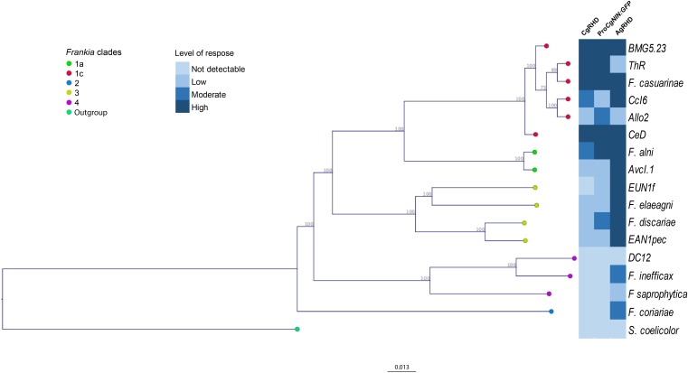 FIGURE 4