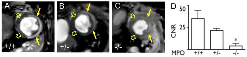 Figure 92: