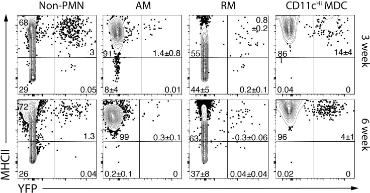 Fig 11