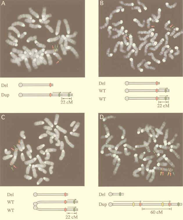 FIG. 4