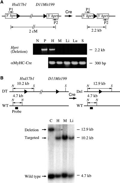 FIG. 6