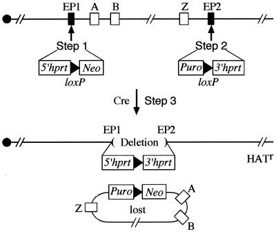 FIG. 1