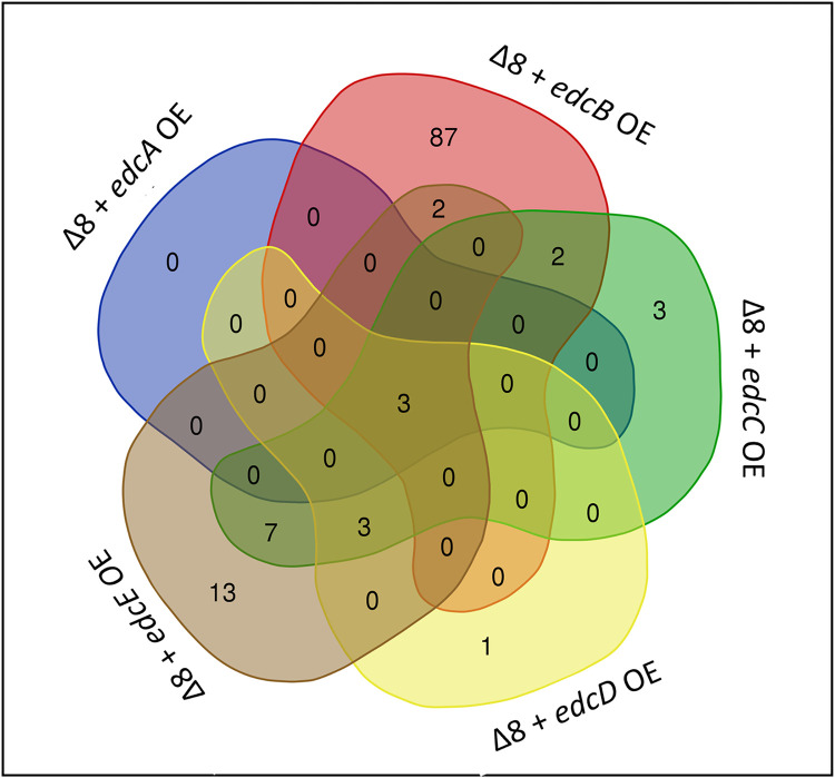 Fig 5