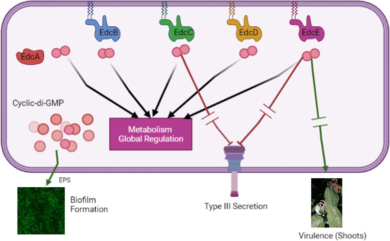 Fig 6