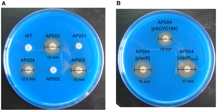 Figure 4