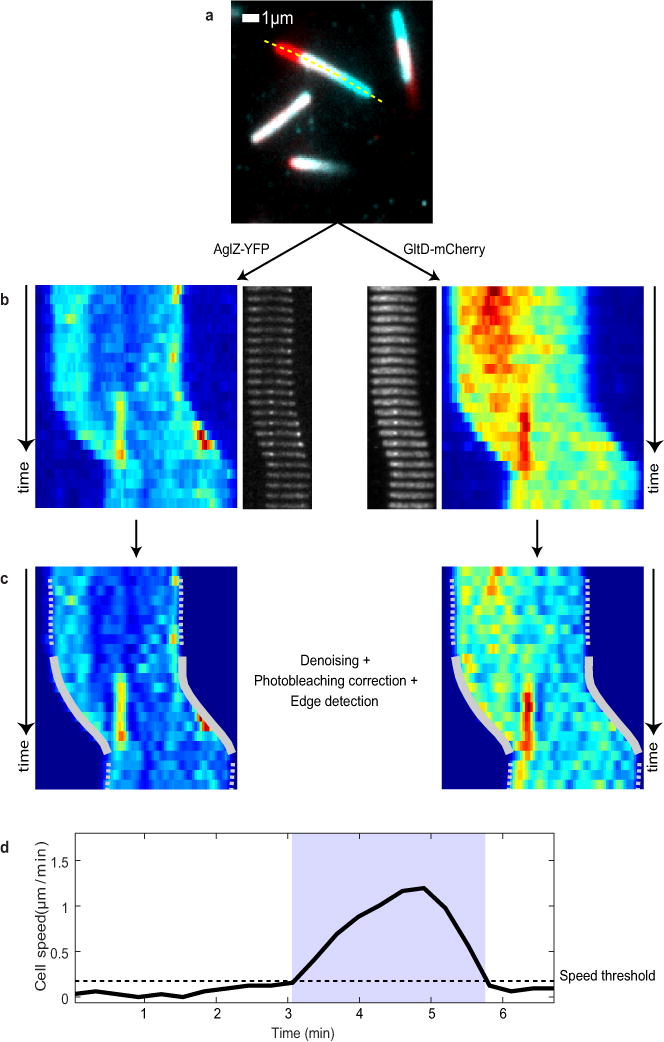 Extended Data Figure 6