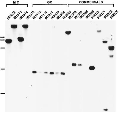 FIG. 6