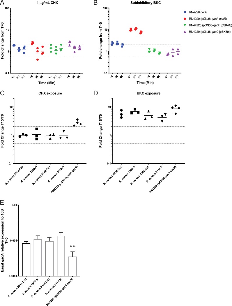 FIG 3