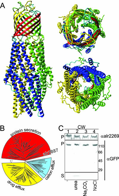 FIG. 2.