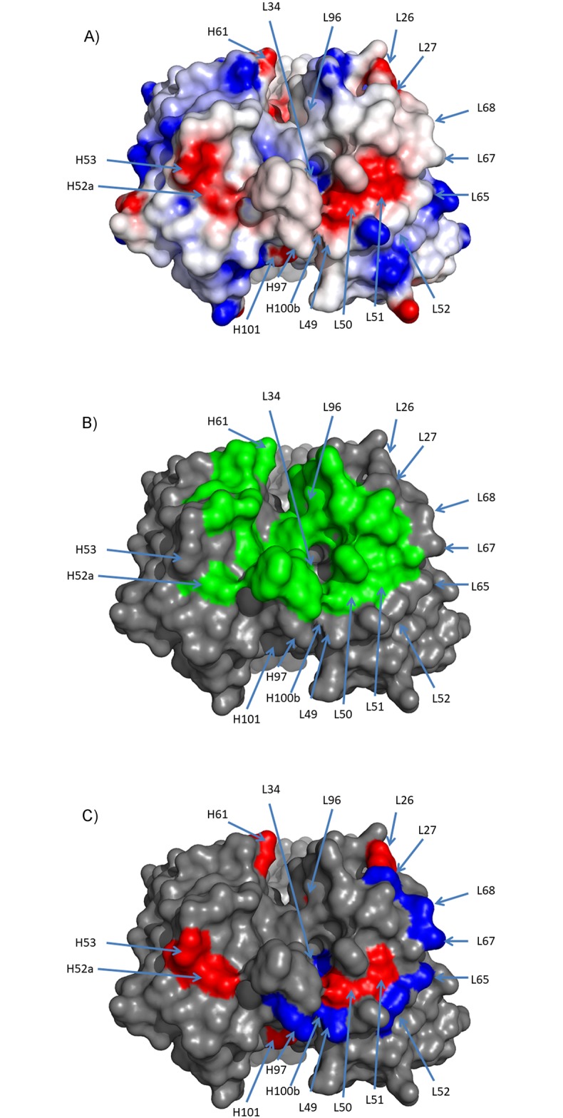 Fig 5