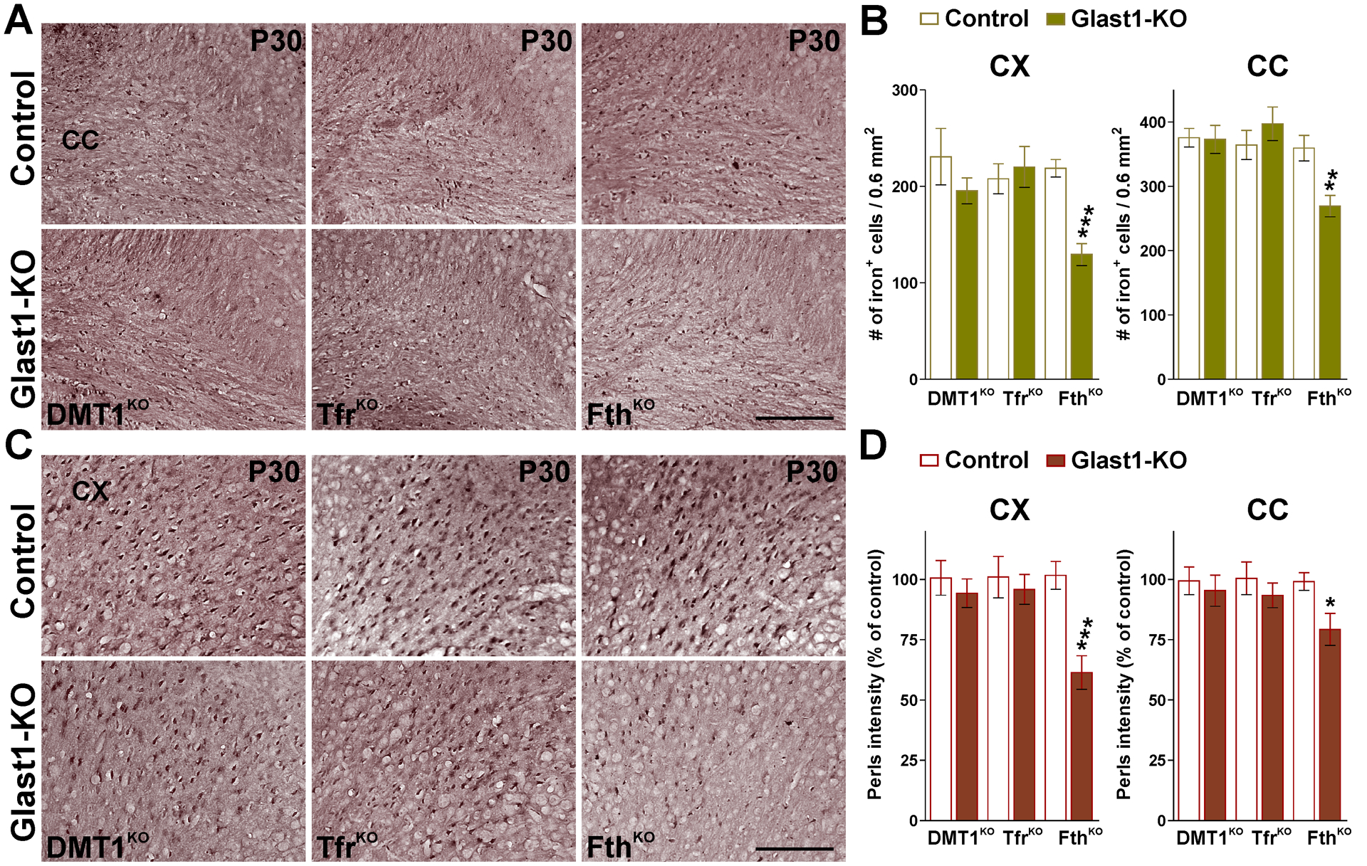 FIGURE 9: