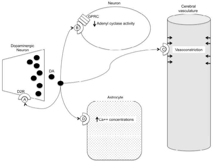 Fig. 1