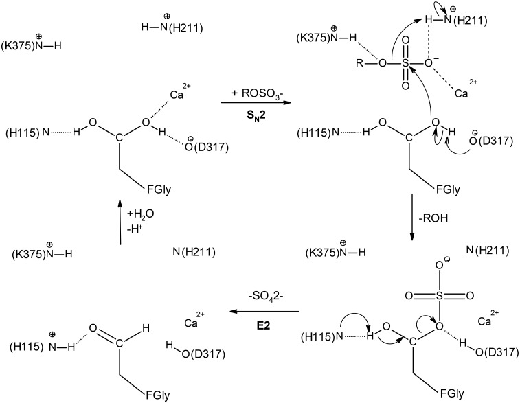 Fig 2