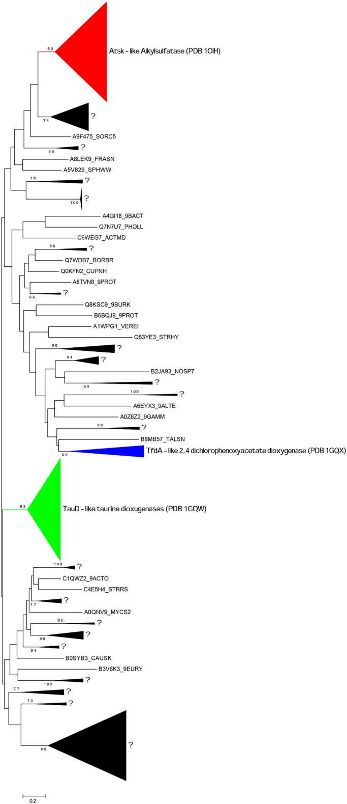 Fig 5