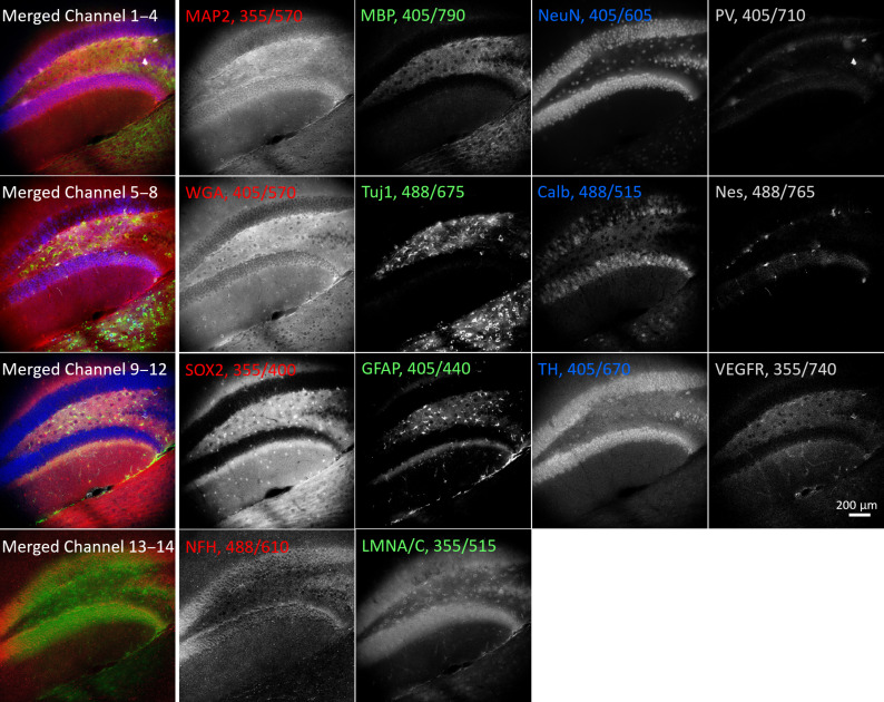 Fig. 4.