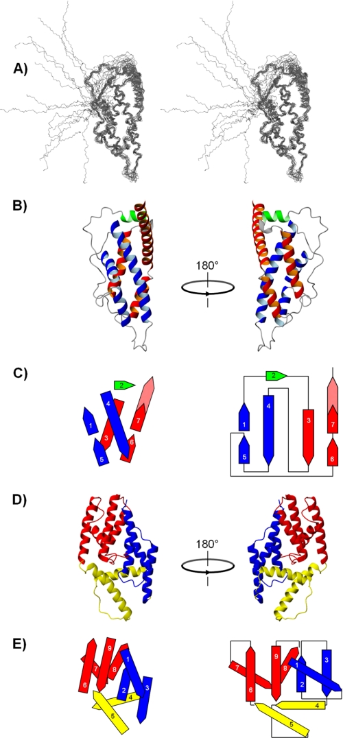 FIGURE 9.