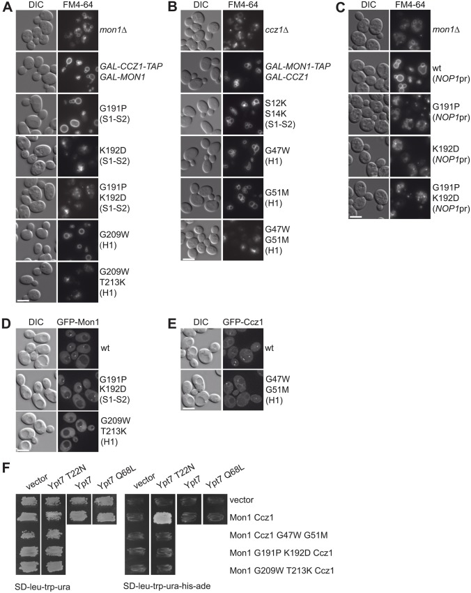 Fig. 2.