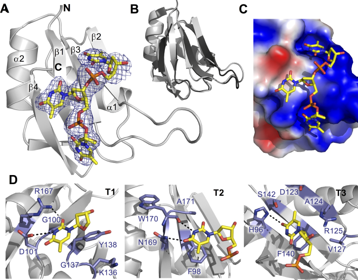 Figure 5.