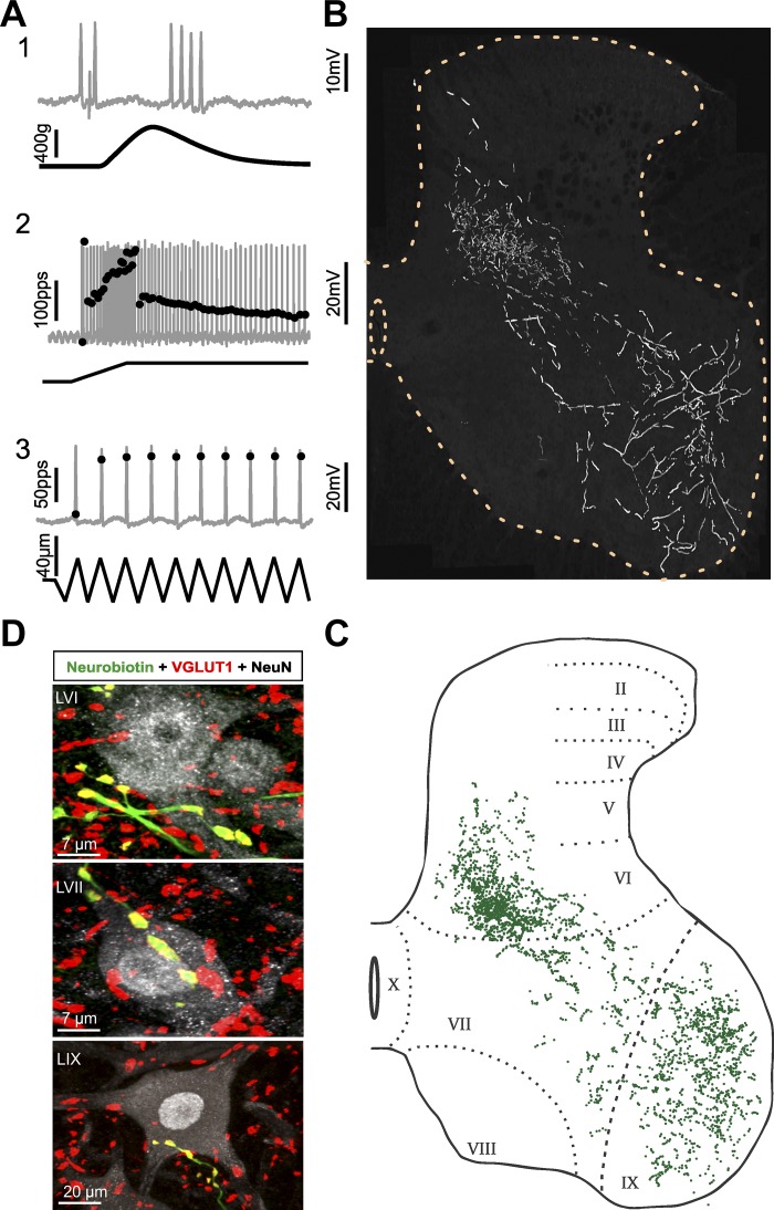 Fig. 3.