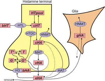 Fig. 1