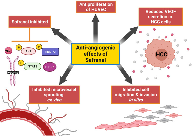 Graphical Abstract