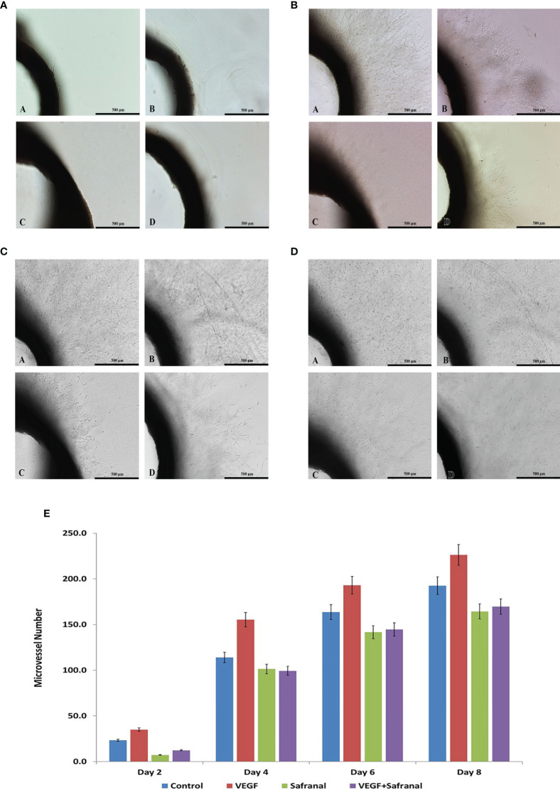 Figure 4