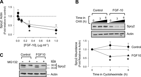 Fig. 8.