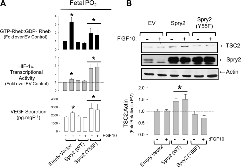 Fig. 10.