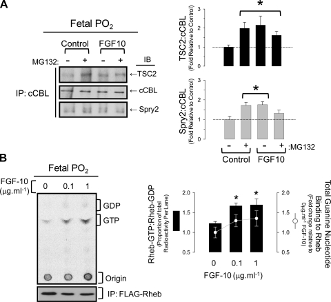 Fig. 9.