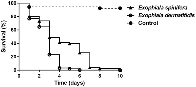 Figure 9